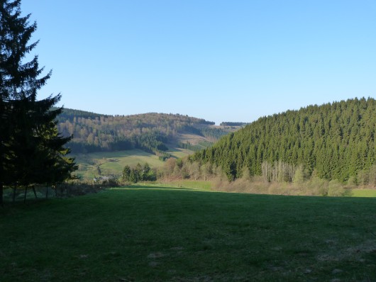 Oberhalb von Rehsiepen